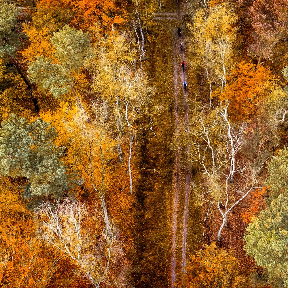 Fietsen in de herfst