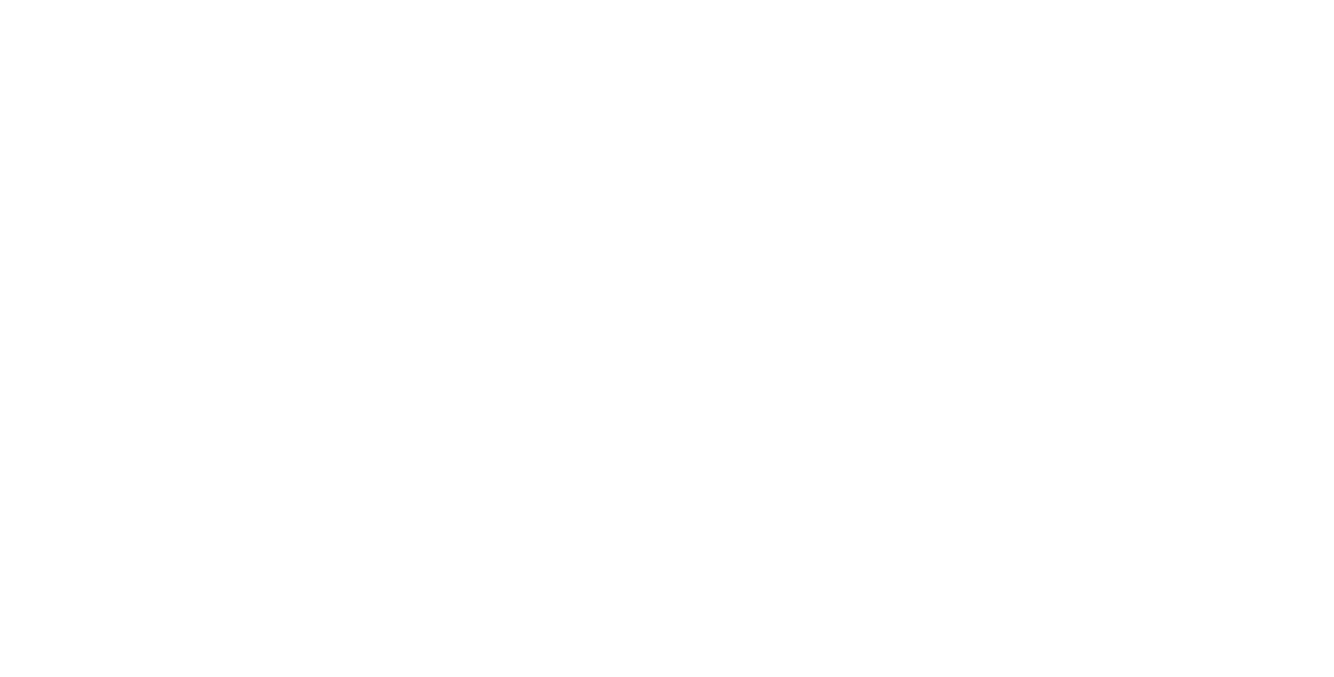 Chase_The_Sun-WIT_TRANSPARANT
