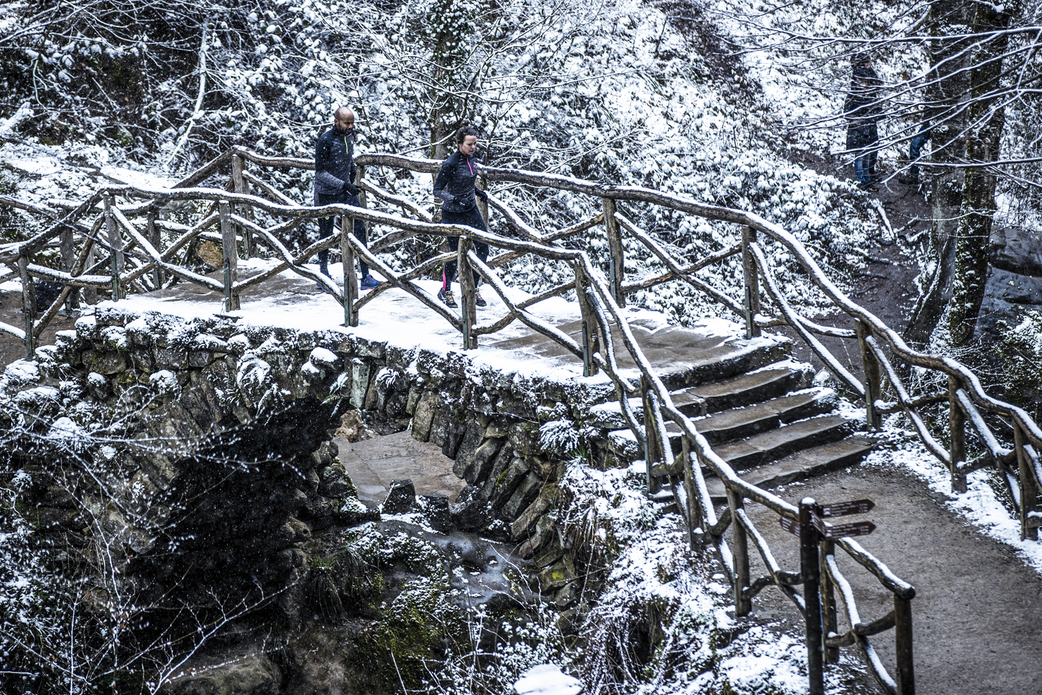Man en vrouw rennen door een besneeuwd bos tijdens een winterse hardloopsessie.