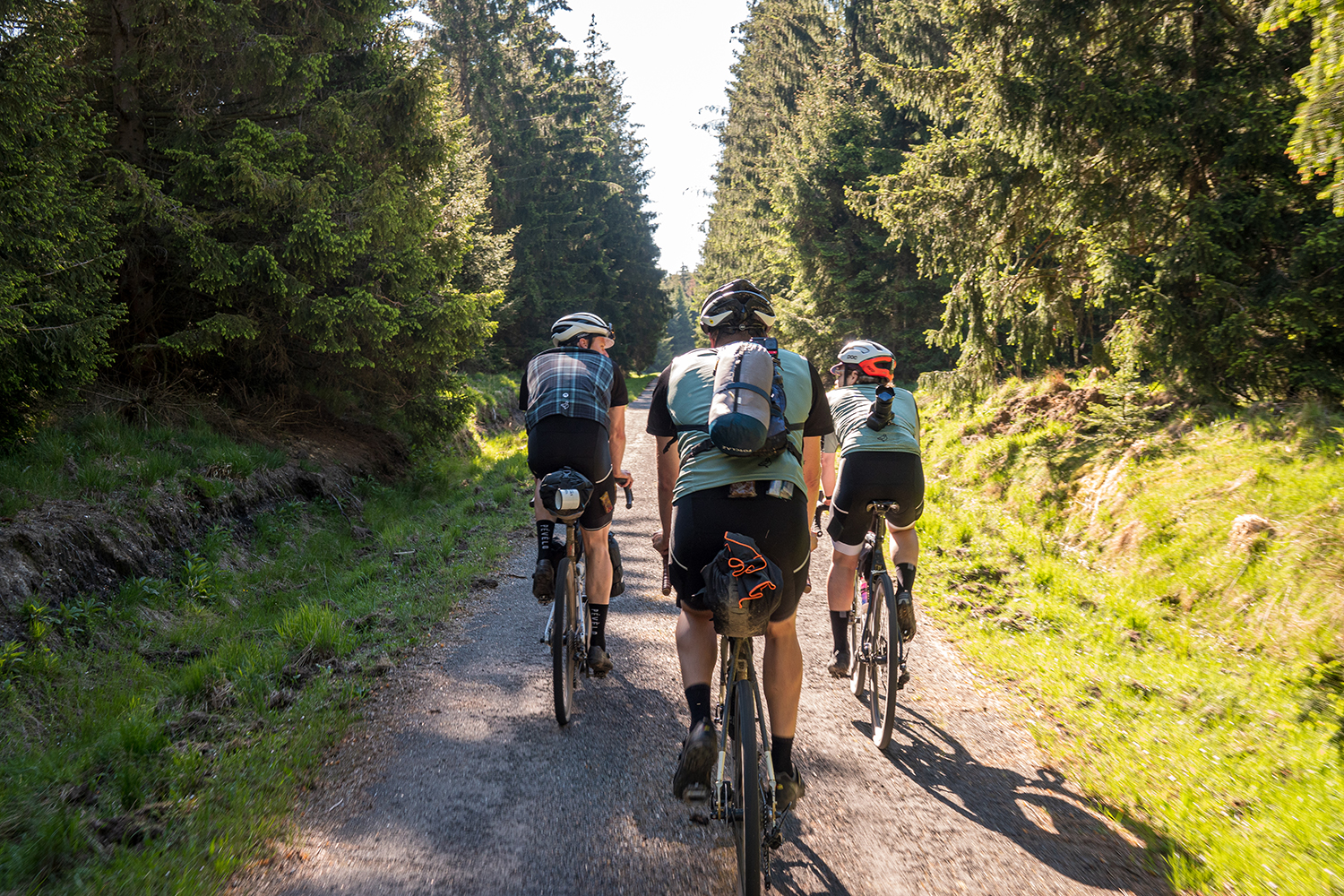 Drie fietsers rijden off-road tijdens hun eerste bikepacking avontuur, omringd door de natuur, gekleed in Rogelli fietskleding.