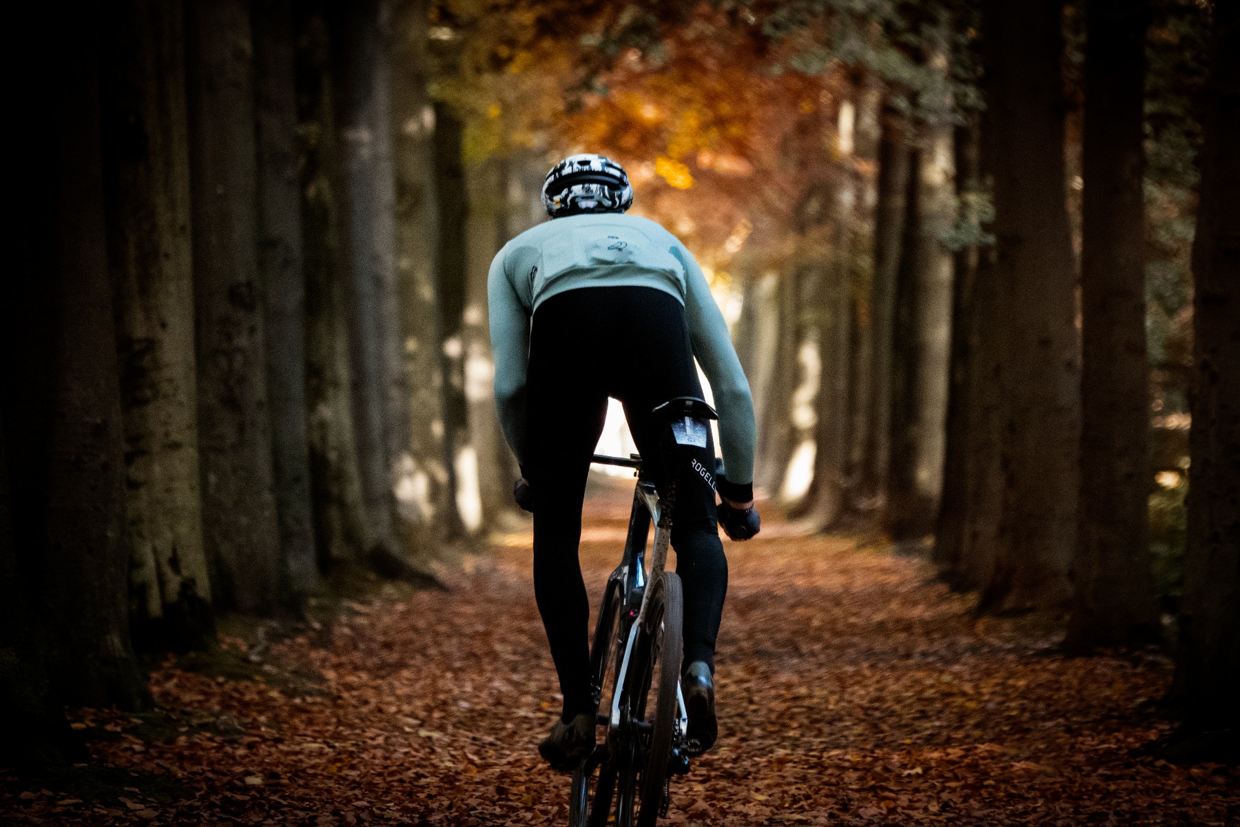 Verlies jezelf in de betoverende herfstlandschappen terwijl je fietst door het bos. Ontdek de schoonheid van het seizoen met Rogelli fietskleding voor ultiem comfort en stijl op je herfsttochten.
